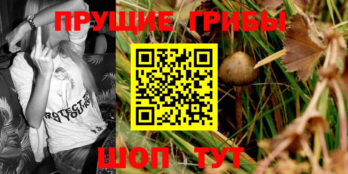 Кузнецк  Псилоцибиновые грибы мицелий  Галлюциногенные грибы Cubensis  Вход с VPN 
