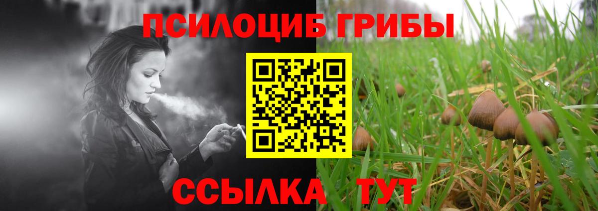 Кодеин Кузнецк
